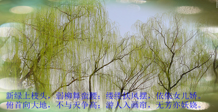 P1010246__.jpg
