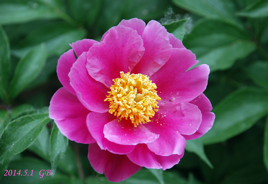 DSC_0021.jpg
