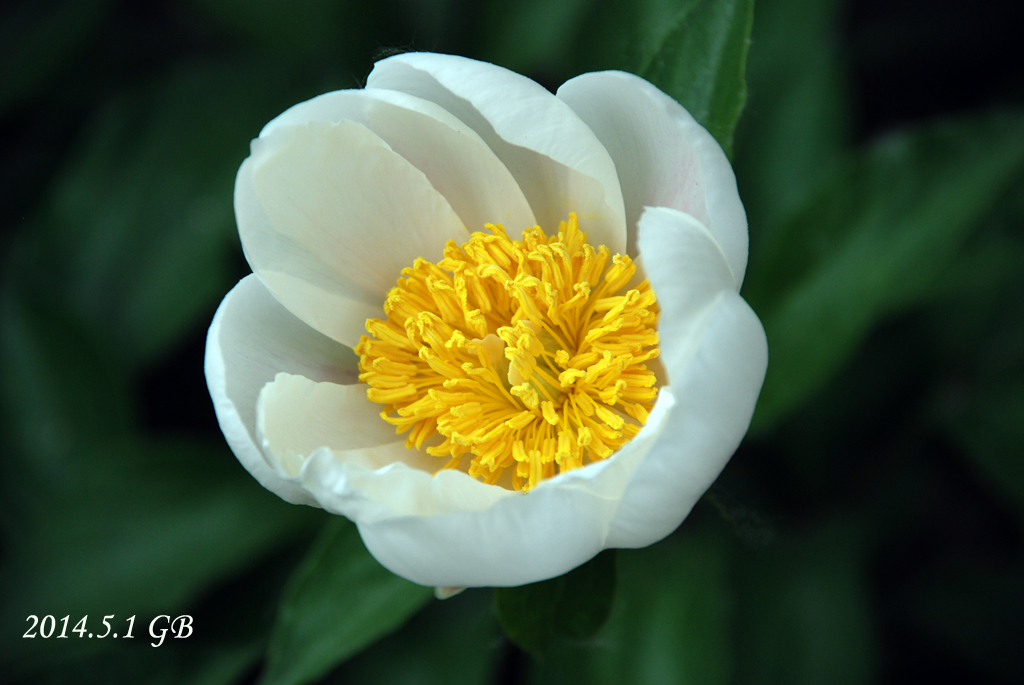 DSC_0012.jpg