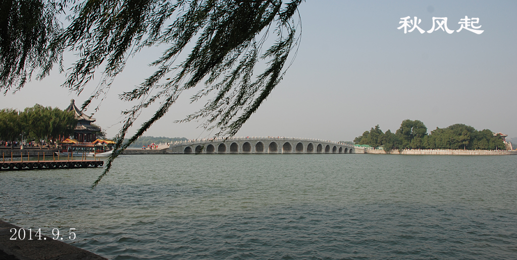 DSC_0012 .jpg