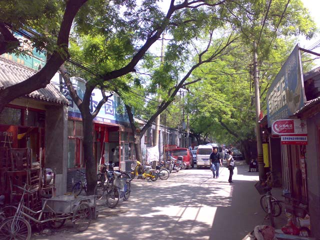 02052009707.jpg