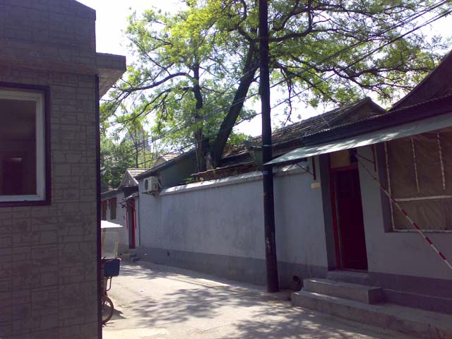 02052009700.jpg