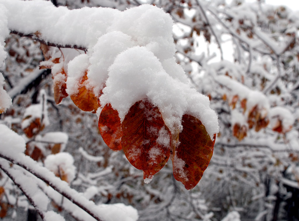 DSC_0502 AA.jpg