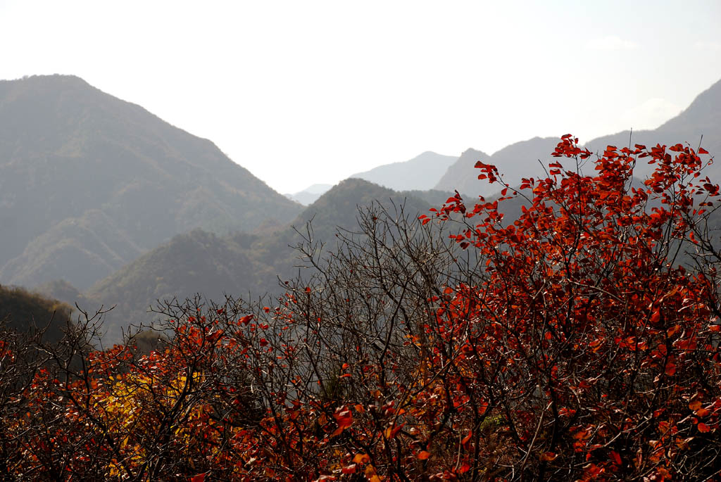 DSC_0124 QQQ.jpg