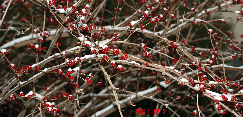 DSC_0049 .jpg MM.jpg
