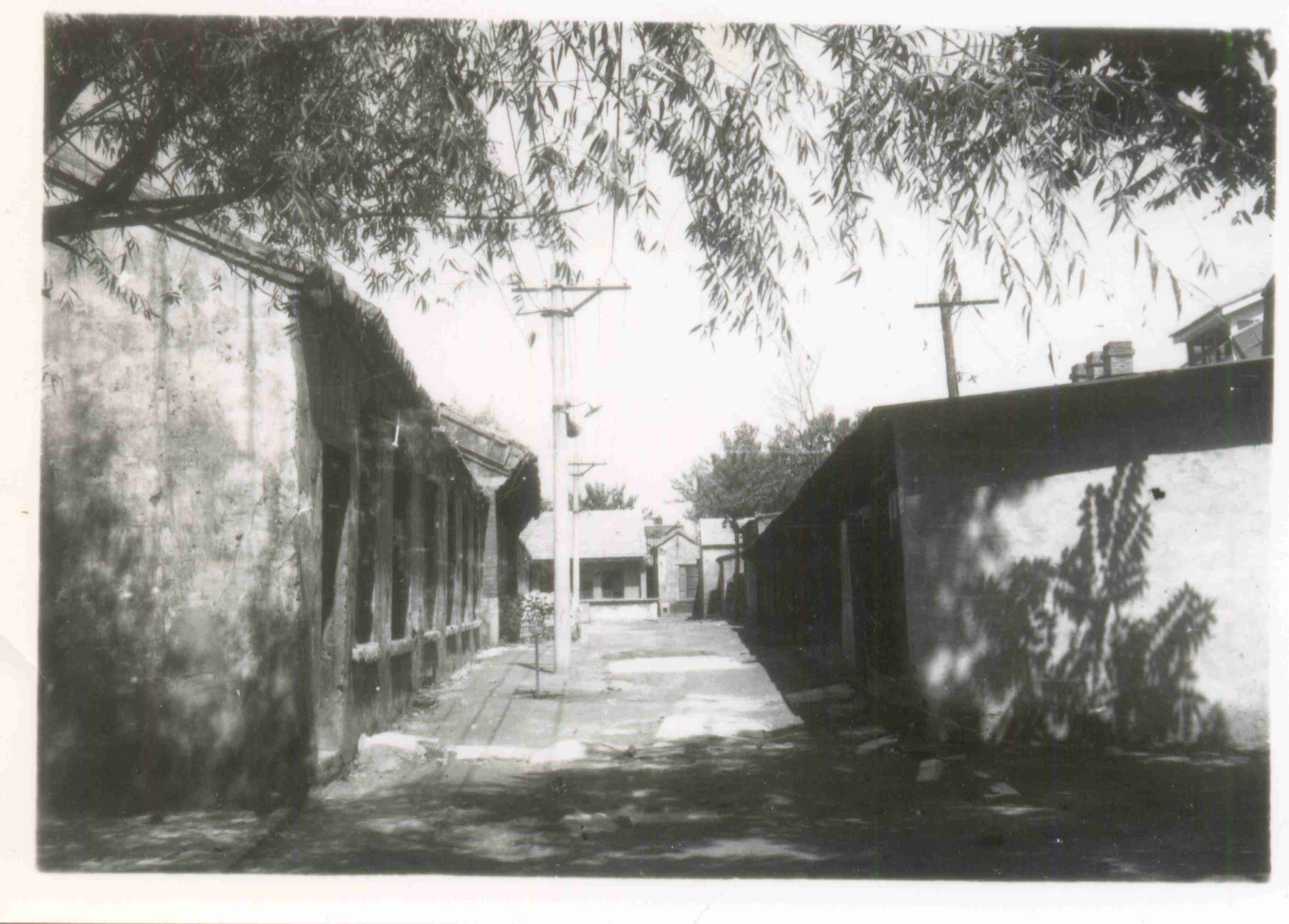 1981ʱɰĸУеͳ