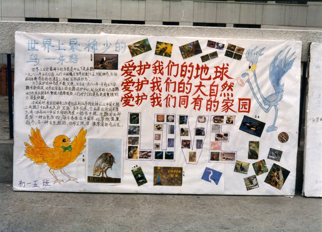 δ-30b.jpg